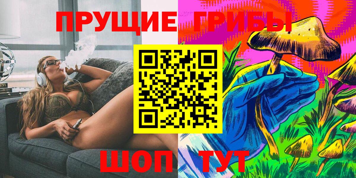 купить закладку  Вход с VPN  Ачинск  Псилоцибиновые грибы прущие грибы  Псилоцибиновые грибы Psilocybine cubensis 